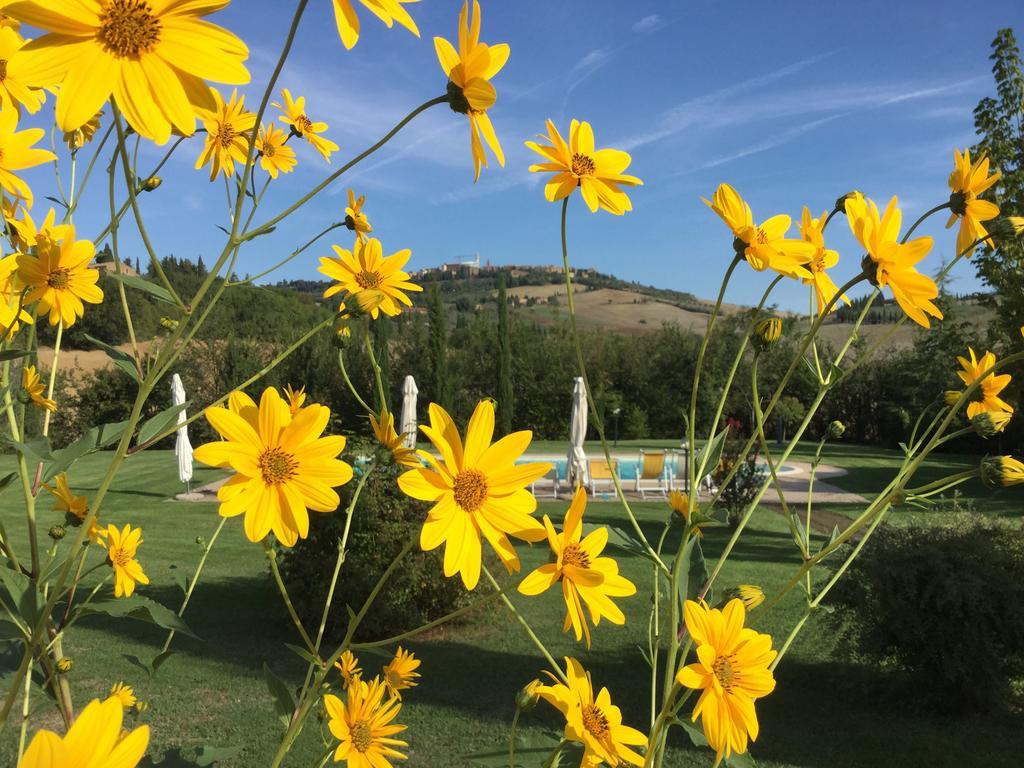 Agriturismo Marinello Pienza Eksteriør billede